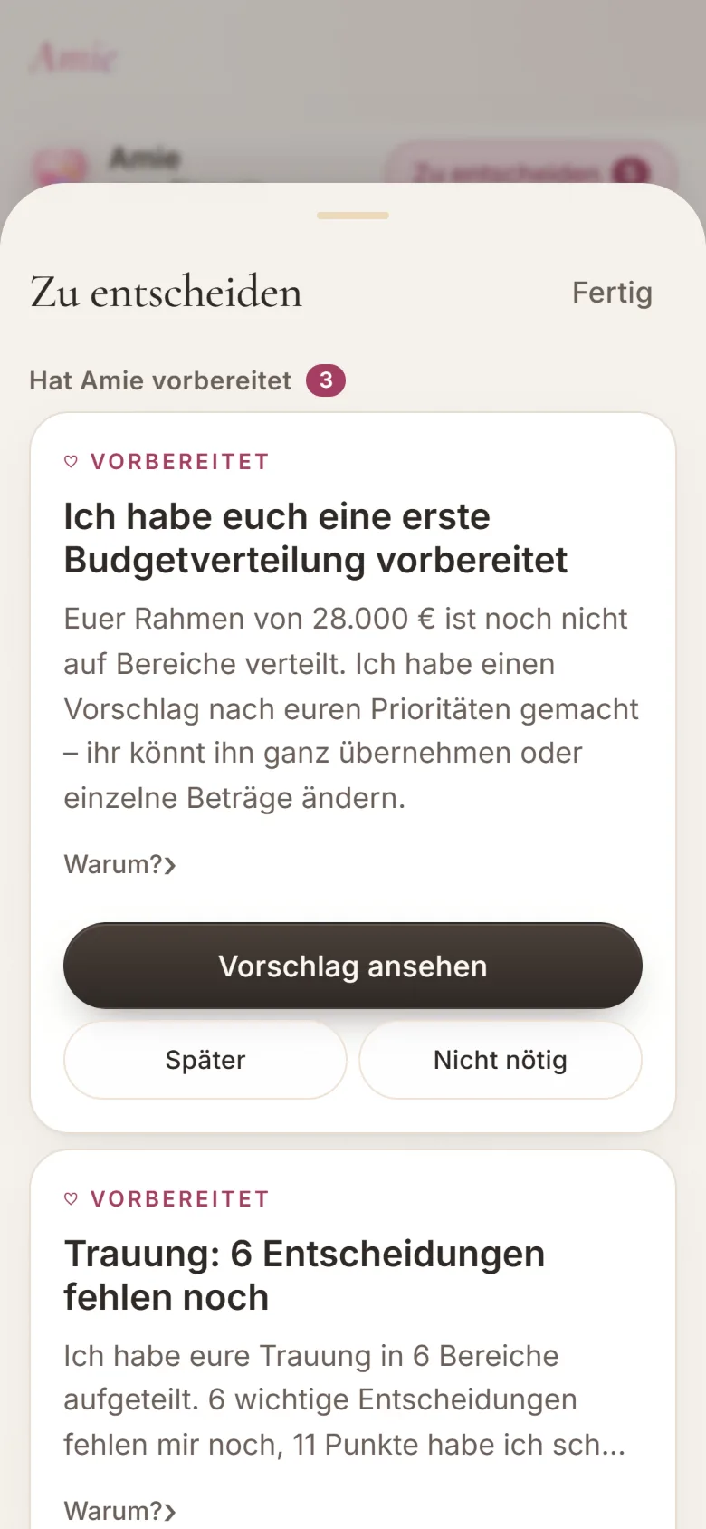 Zu entscheiden: von Amie vorbereitete Budgetverteilung mit Vorschlag ansehen, später oder nicht nötig